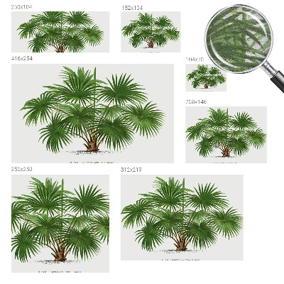 Foto tapeta Eksotični vzorec