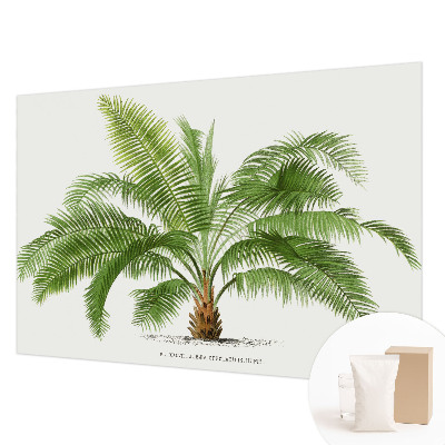 Flis fototapeta s motivom sijoče palme