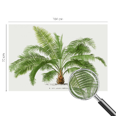 Flis fototapeta s motivom sijoče palme