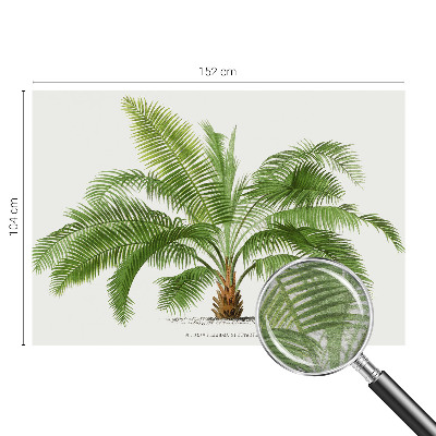 Flis fototapeta s motivom sijoče palme