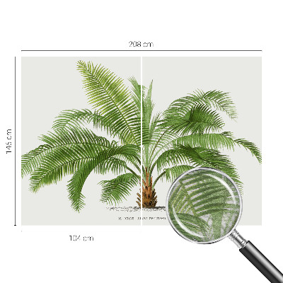 Flis fototapeta s motivom sijoče palme