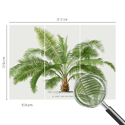 Flis fototapeta s motivom sijoče palme
