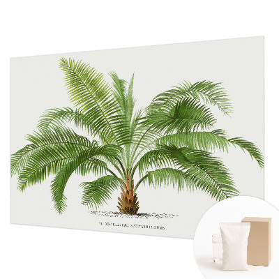 Flis fototapeta s motivom sijoče palme