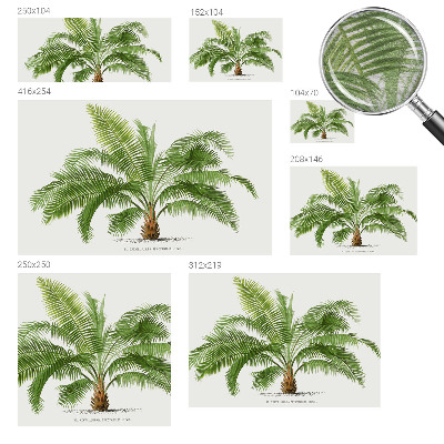 Flis fototapeta s motivom sijoče palme