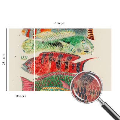 Netkana fototapeta z motivom eksotičnih rib