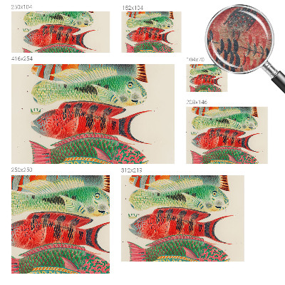 Netkana fototapeta Eksotične ribe