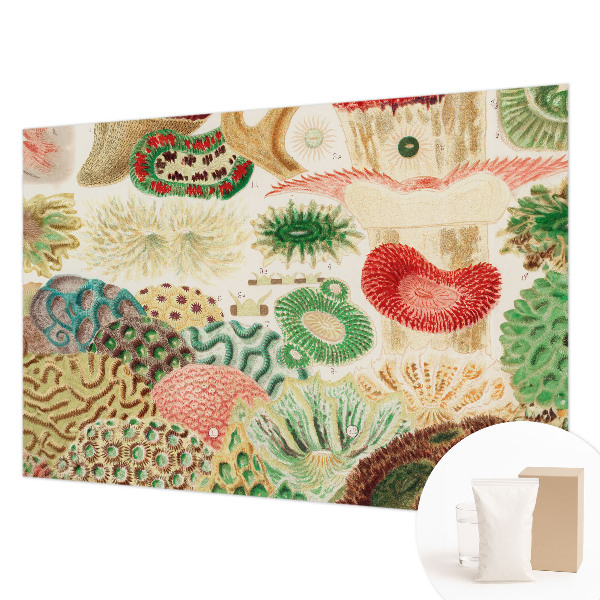 Stenska fototapeta flis Organske oblike