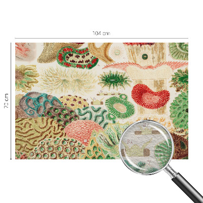 Stenska fototapeta flis Organske oblike