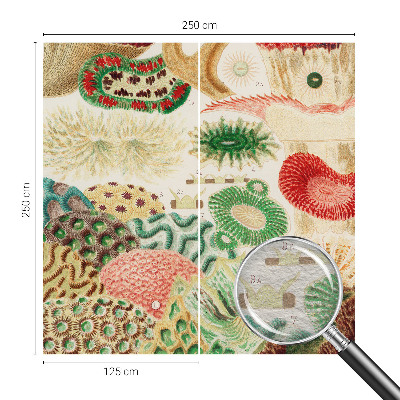 Stenska fototapeta flis Organske oblike