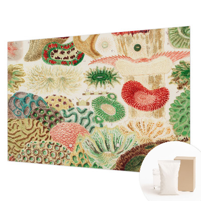 Stenska fototapeta flis Organske oblike