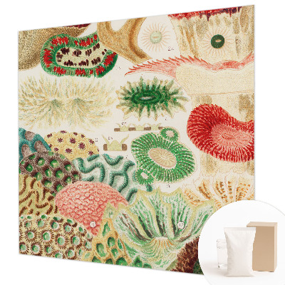 Stenska fototapeta flis Organske oblike