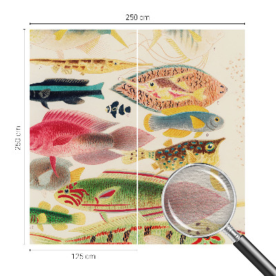 Tiskana fototapeta flis Barvite ribe