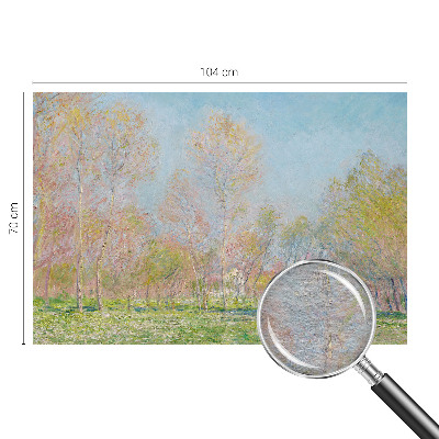 Fototapeta po meri Pomladni park