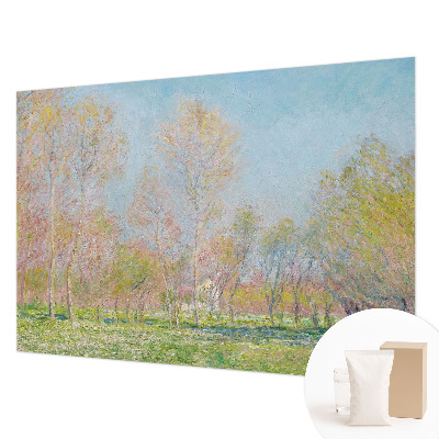 Fototapeta po meri Pomladni park