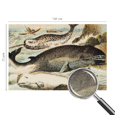 Netkana fototapeta Morski velikani