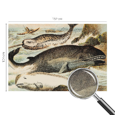 Netkana fototapeta Morski velikani