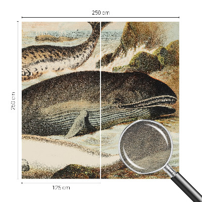 Netkana fototapeta Morski velikani