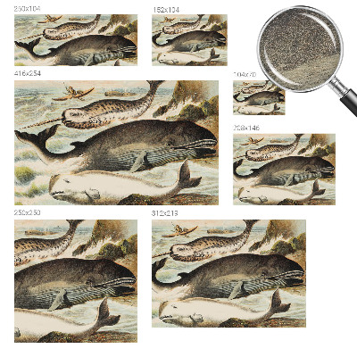 Netkana fototapeta Morski velikani