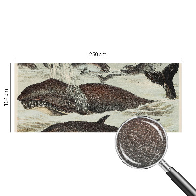 Stenska fototapeta flis z motivom morskih bitij