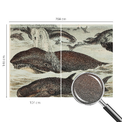 Stenska fototapeta flis Morska bitja