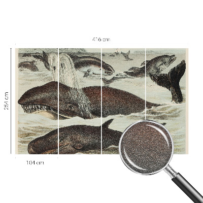 Stenska fototapeta flis Morska bitja