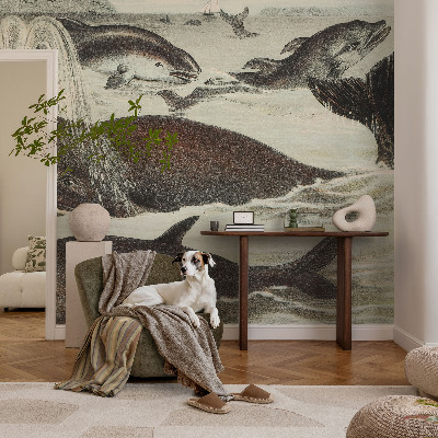 Stenska fototapeta flis Morska bitja