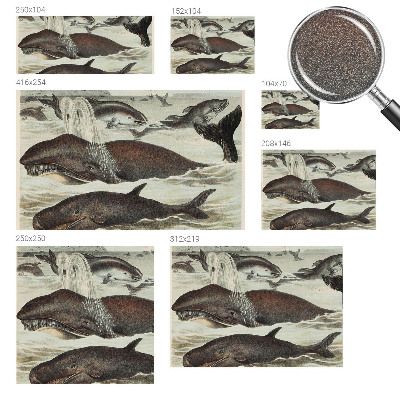 Stenska fototapeta flis Morska bitja