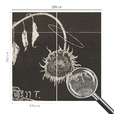 Fototapeta po meri Nostalgična sončnica