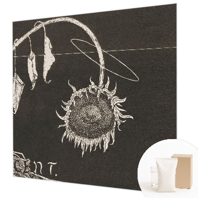 Fototapeta po meri Nostalgična sončnica