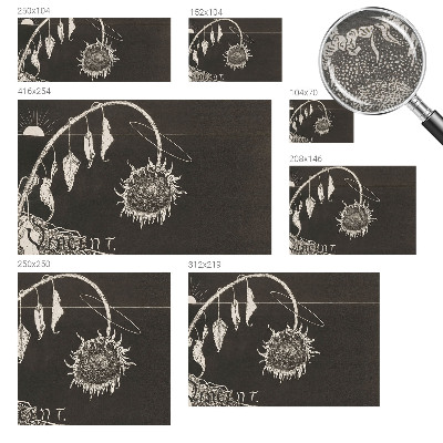 Fototapeta po meri Nostalgična sončnica