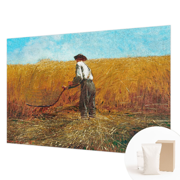 Flis fototapeta za otroško sobo Žetev na soncu