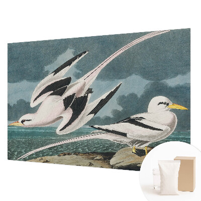 Fototapeta po meri Ptice ob morju