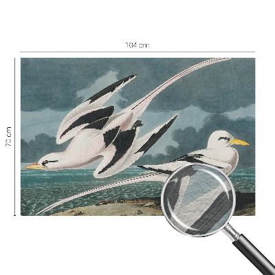 Fototapeta po meri Ptice ob morju