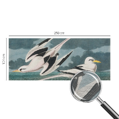 Fototapeta po meri Ptice ob morju