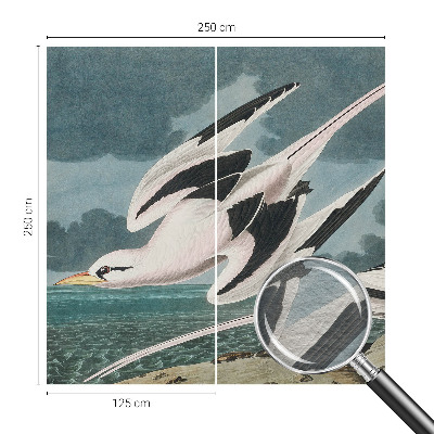 Fototapeta po meri z motivom ptic ob morju