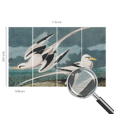 Fototapeta po meri Ptice ob morju