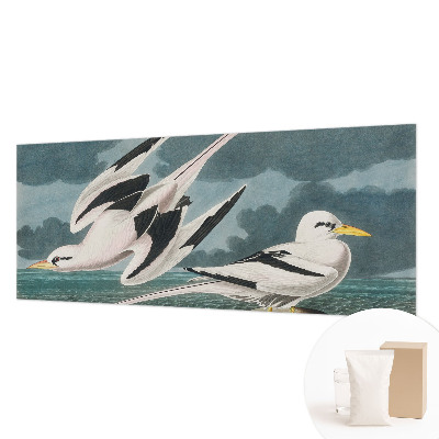 Fototapeta po meri Ptice ob morju