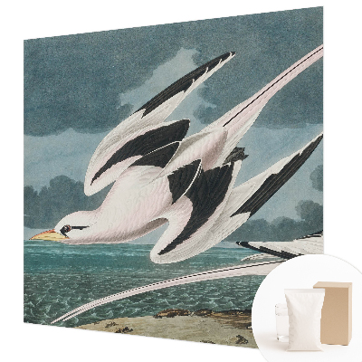 Fototapeta po meri Ptice ob morju