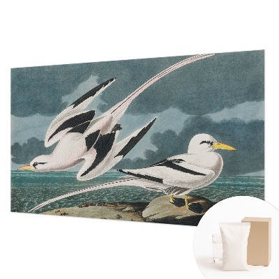 Fototapeta po meri Ptice ob morju