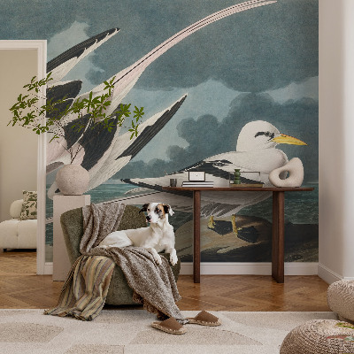 Fototapeta po meri Ptice ob morju