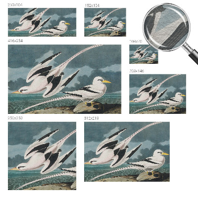 Fototapeta po meri Ptice ob morju