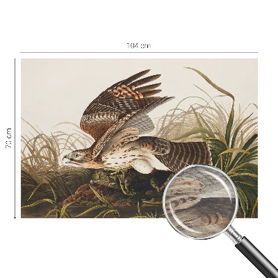 Fototapeta za dnevno sobo Krilata lepotica