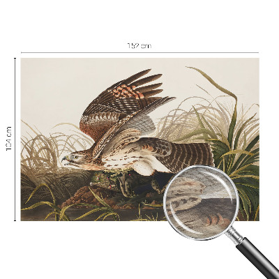 Fototapeta za dnevno sobo Krilata lepotica