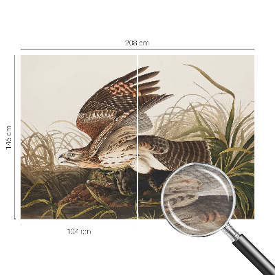 Fototapeta za dnevno sobo Krilata lepotica