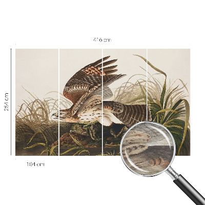 Fototapeta za dnevno sobo Krilata lepotica