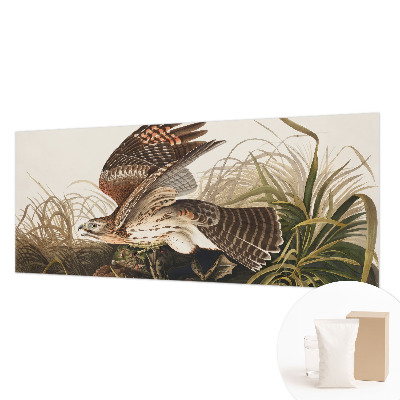 Fototapeta za dnevno sobo Krilata lepotica