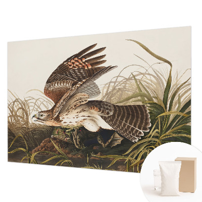 Fototapeta za dnevno sobo Krilata lepotica