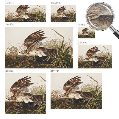 Fototapeta za dnevno sobo Krilata lepotica