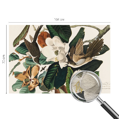 Fototapeta za spalnico z motivom ptic in magnolije