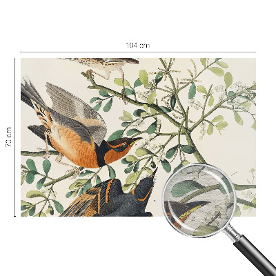 Moderna fototapeta Barvite ptice